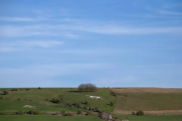 Hackpen White Horse Marlborough Downs Wiltshire Storbritannien — Stockfoto