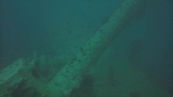 紅海のロザリー モラーの難破船の視界が悪いエジプト — ストック動画