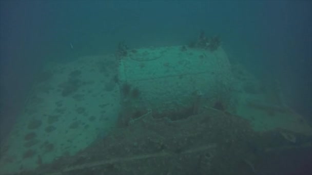 紅海のロザリー モラーの難破船の視界が悪いエジプト — ストック動画