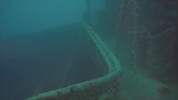 Poor Visibility Wreck Rosalie Moller Red Sea Egypt — Stock Video
