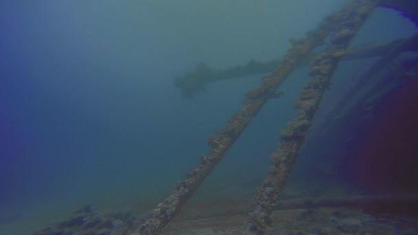 Naufragio Una Nave Sulla Scogliera Abu Nuhas Nel Mar Rosso — Video Stock