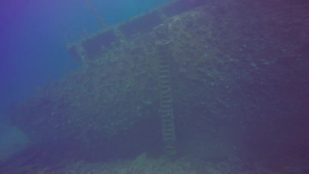 Kızıl Deniz Mısır Daki Abu Nuhas Resifinde Bir Gemi Enkazı — Stok video