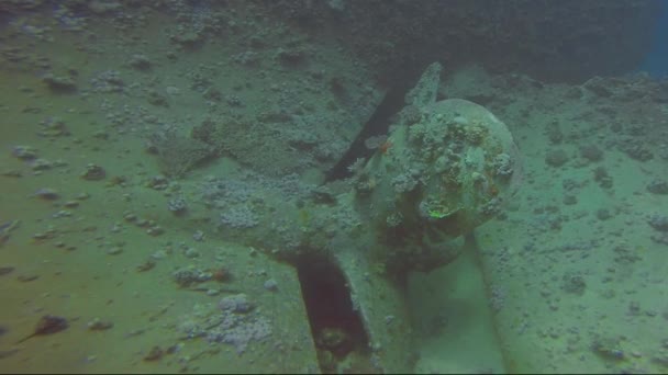 Ship Wreck Abu Nuhas Reef Red Sea Egypt — Stock Video
