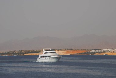 Sharm el Sheikh, Mısır yakınlarındaki Kızıldeniz 'de bir dalış botu.