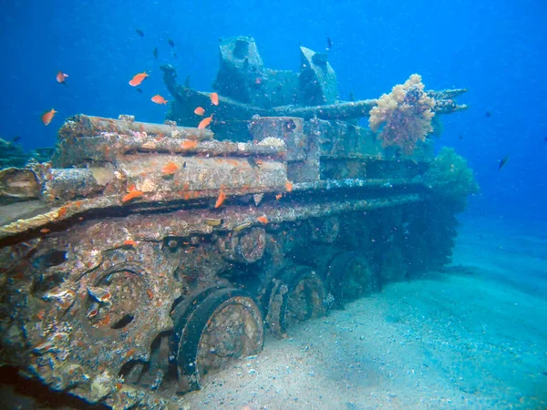 An M42 Duster vehicle as an artificial reef in Aqaba, Jordan