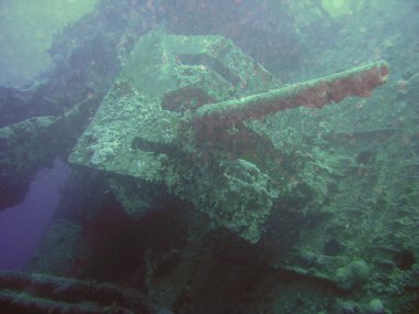 Kızıl Deniz 'deki SS Thistlegorm enkazı, Mısır