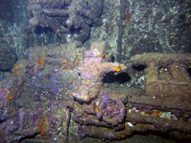Abu Nuhas, Kızıldeniz 'deki Crisoula K enkazının içinde.