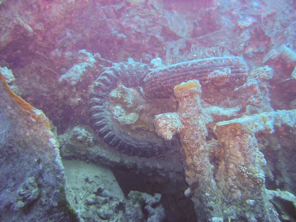 Vrak Thistlegorm Rudém Moři Egypt — Stock fotografie