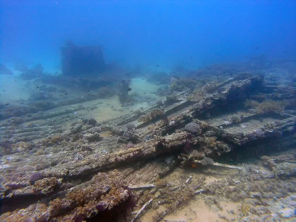 Cargo Wreck Yolanda Tip Sinai Peninsula Egypt — Stock Photo, Image