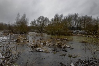 Suffolk, İngiltere 'deki Gipping Nehri' nin kıyılarını sel bastı.