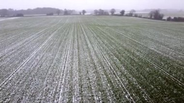 İngiliz Suffolk kırsalında hafif kar yağışı görüntüsü.