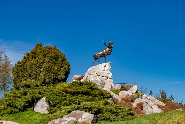 Die Karibu Statue Denkmal Des Neufundländer Regiments Beaumont Hamel Frankreich — Stockfoto