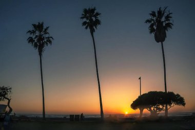 Kaliforniya 'daki La Jolla Sahilindeki palmiye ağaçlarının siluetleri gün batımında
