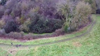 Suffolk, İngiltere 'deki 11. yüzyıl Motte and Bailey Haughley şatosunun insansız hava aracı görüntüleri.