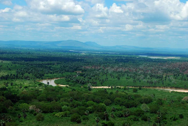 Rivière Rufiji Dans Réserve Gibier Selous Tanzanie — Photo