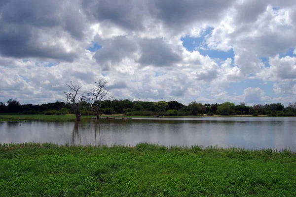 Lago Cerca Del Río Rufiji Reserva Caza Selous Tanzania —  Fotos de Stock