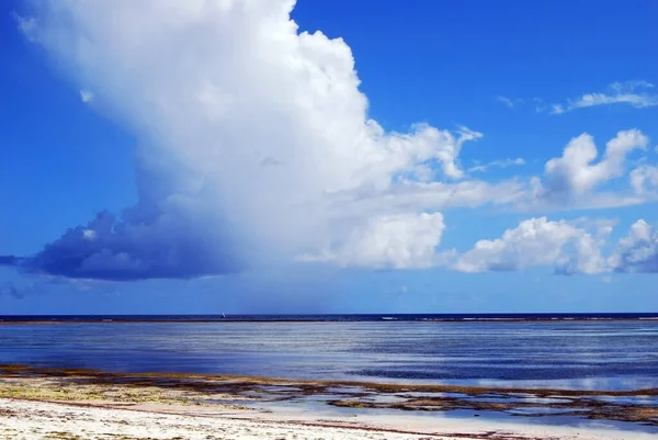 Прекрасні Білі Піски Пляжу Бведжуу Східному Узбережжі Занзібару — стокове фото