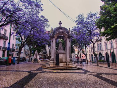 Jacaranda ağaçları ve Largo do Carmo, Lizbon meydanındaki çeşme.