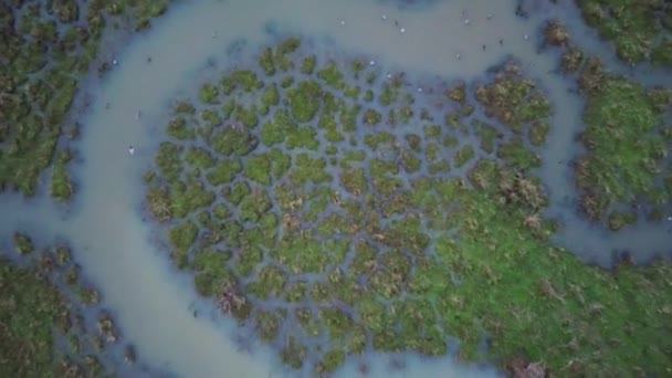 Záběry Bezpilotních Letounů River Stour Které Označují Hranici Mezi Okresy — Stock video