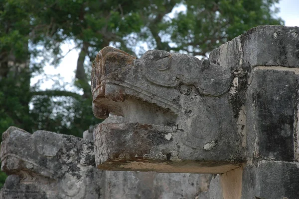 Mayské Trosky Chichen Itza Džungli Yucatanu Mexiku — Stock fotografie