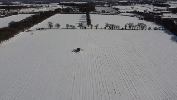 Imagens Drones Campo Coberto Neve Uma Área Rural Suffolk Reino — Vídeo de Stock