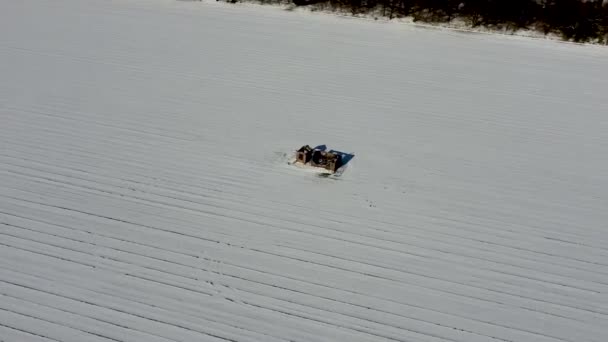 Drönarbilder Ett Snötäckt Fält Ett Landsbygdsområde Suffolk Storbritannien — Stockvideo