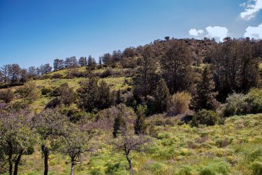 Kuzey Kıbrıs kıyılarına bakan tepelerin manzarası