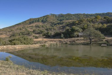 Güney Afrika 'nın Mpumalanga Eyaleti' ndeki eManzana (eski Badplaas) çevresindeki kırsal alan