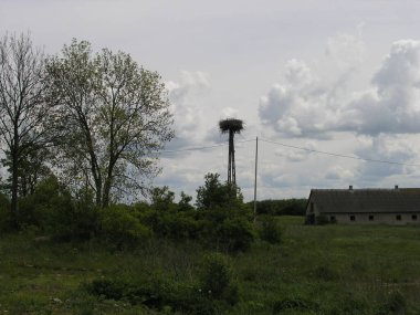 Polonya 'daki Masurian Gölü Bölgesi