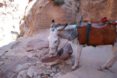 Ürdün 'ün dağları ve çölleri