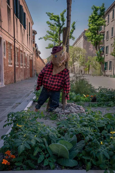 İtalya, Venedik 'in Santa Croce bölgesinde bir çiçek tarhında minyatür korkuluklar.