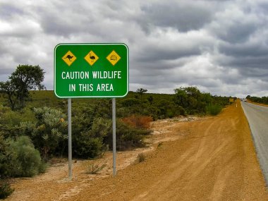Batı Avustralya 'da Perth' in kuzeyindeki yollar.