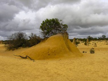 Batı Avustralya 'daki Nambung Ulusal Parkı' ndaki Pinnacles oluşumları