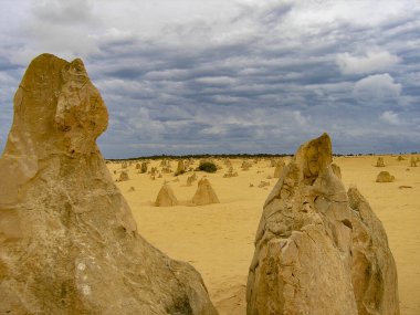 Batı Avustralya 'daki Nambung Ulusal Parkı' ndaki Pinnacles oluşumları