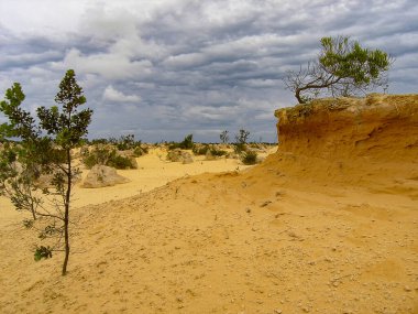 Batı Avustralya 'daki Nambung Ulusal Parkı' ndaki Pinnacles oluşumları
