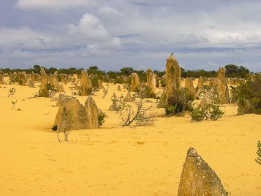 Batı Avustralya 'daki Nambung Ulusal Parkı' ndaki Pinnacles oluşumları