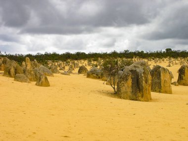 Batı Avustralya 'daki Nambung Ulusal Parkı' ndaki Pinnacles oluşumları