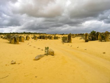 Batı Avustralya 'daki Nambung Ulusal Parkı' ndaki Pinnacles oluşumları
