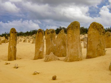 Batı Avustralya 'daki Nambung Ulusal Parkı' ndaki Pinnacles oluşumları