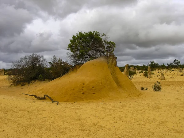 Batı Avustralya 'daki Nambung Ulusal Parkı' ndaki Pinnacles oluşumları