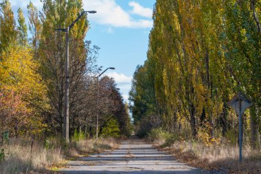 Ukrayna 'nın Çernobil Yasak Bölgesi' ndeki Pripyat kasabasındaki terk edilmiş caddeler ve binalar