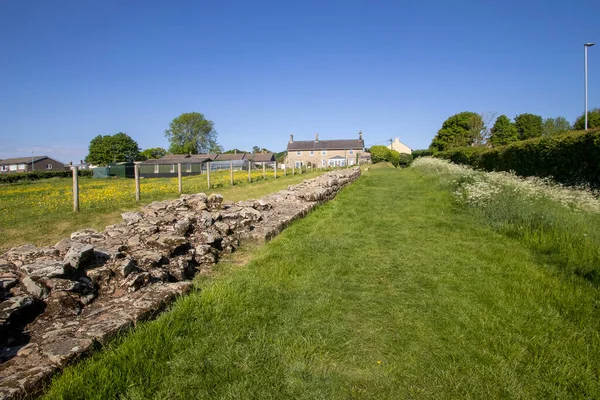 A section of Hadrian\'s Wall in Heddon-on-the-Wall in Northumberland, UK