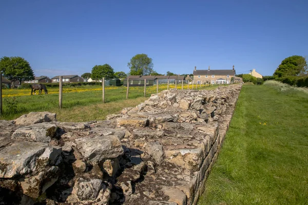 A section of Hadrian's Wall in Heddon-on-the-Wall in Northumberland, UK