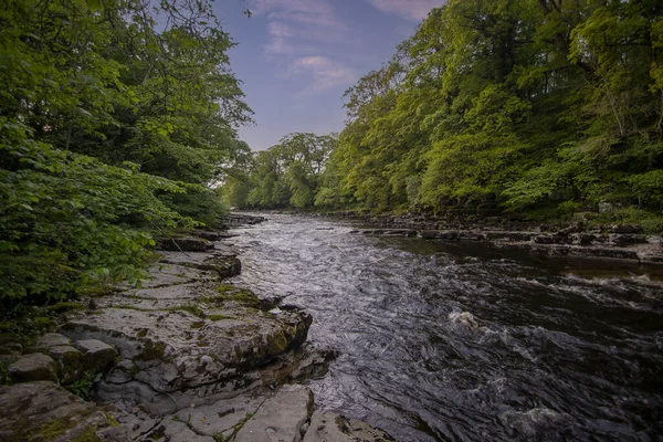 River Tees Barnard Castle County Durham Ngiltere — Stok fotoğraf