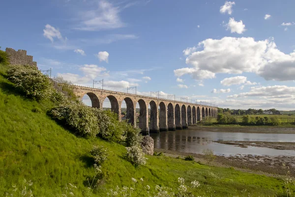 Berwick Northumberland Ngiltere Deki Tweed Nehri Kapsayan Kraliyet Sınır Köprüsü — Stok fotoğraf