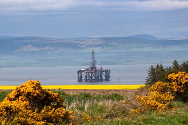 Oil rigs in Cromarty Firth in the Scottish Highlands, UK clipart