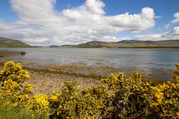 Aerial View Loch Fleet Scottish Highlands — Stock Photo, Image