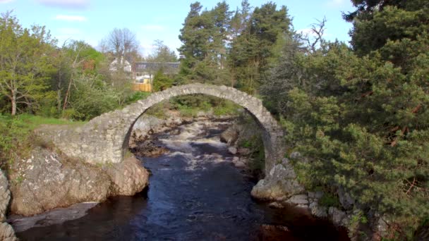 Záběry Mostu Old Pack Horse Bridge Carrbridge Scottish Highlands Velká — Stock video