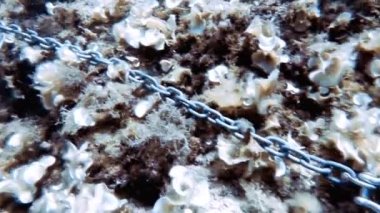 Akdeniz 'deki çapa zinciri ve dalış teknesinin 4k görüntüsü.