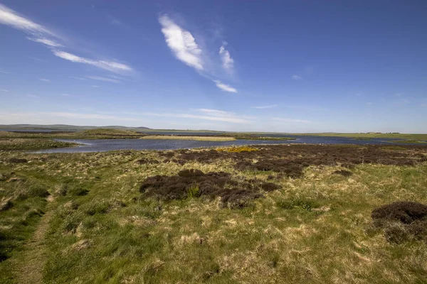 Uma Paisagem Rural Das Ilhas Orkney Escócia Reino Unido — Fotografia de Stock